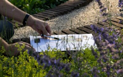Edwin-Boonstra-Tuinontwerp-tuinadvies_elbee_HR_-32